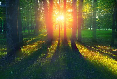 Beat the Heat with Lawline’s August CLE
