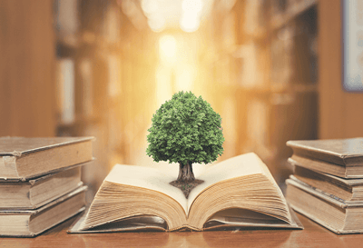 From Nuisance Laws to the Green New Deal: Four Facts You Might Not Know About the History of Environmental Regulations