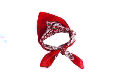 Man in the Red Bandana