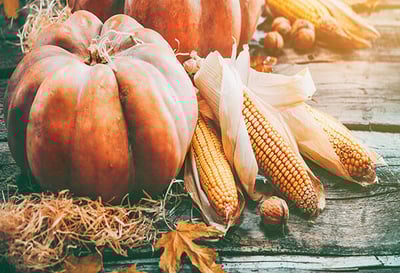 Need to Watch November CLE: Franchising, SCOTUS, and Whistleblower Protections