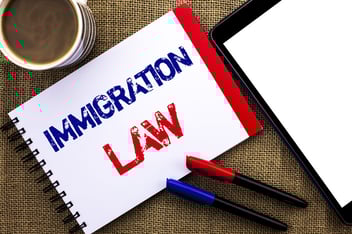 bigstock-Handwriting-Text-Immigration-L-235702660 (1) (1)