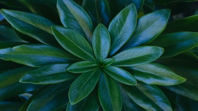 Why is Client Centricity Important In Law Practice